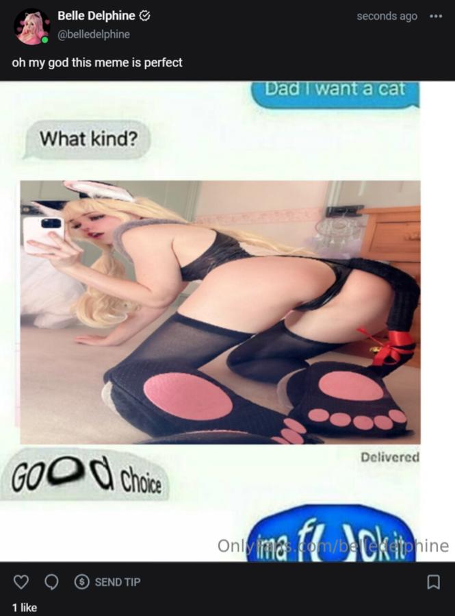Belle Delphine Leaked photo 1489
